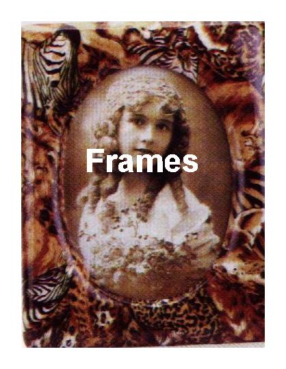 frames.JPG (46042 bytes)